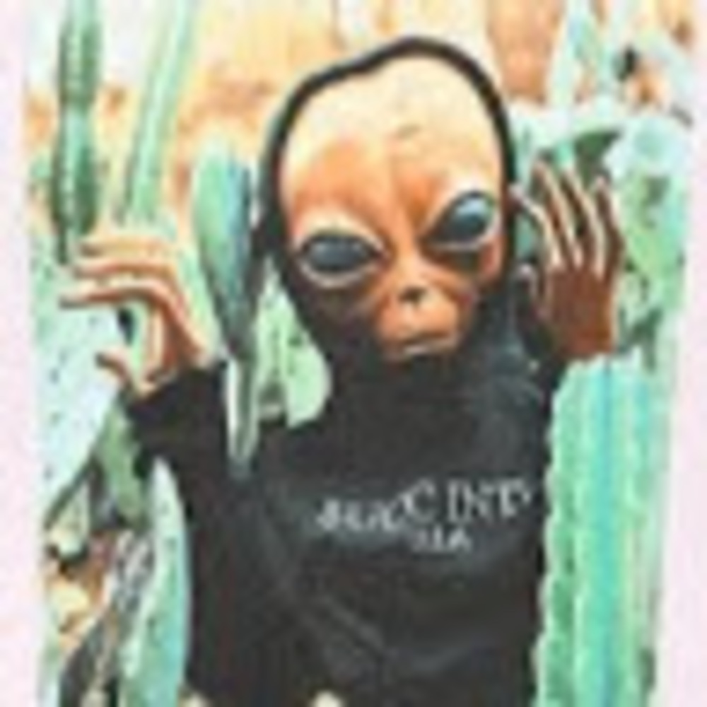 Meet your Posher, Michael